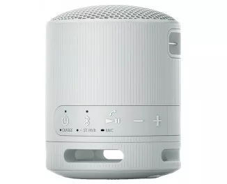 Портативная колонка Sony SRS-XB100 Grey (SRSXB100H.CE7)