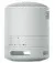 Портативная колонка Sony SRS-XB100 Grey (SRSXB100H.CE7)