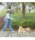 Поводок-рулетка для собак PETKIT Go Free Pet Retractable Leash 3m (P2104)