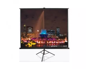 Проекционный экран Elite Screens T113UWS1 Black case