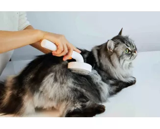 Пуходерка-сликер PETKIT Pet Grooming Brush2 (PETKIT-PGB2)