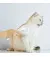 Пуходерка-сликер PETKIT Pet Grooming Brush2 (PETKIT-PGB2)