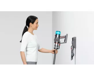 Пилосос Dyson V12 Origin (492711-01)