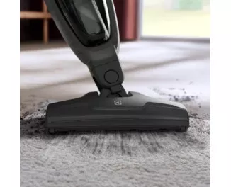 Пылесос Electrolux ES31CB18GG