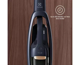 Пылесос Electrolux WQ71-P52IB