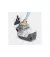 Пылесос Karcher DS 6 Plus (1.195-252.0)