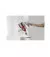 Пылесос Xiaomi Mi Vacuum Cleaner G10 Plus (BHR6179EU)