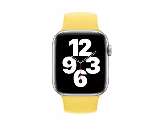 Силиконовый ремешок для Apple Watch 38/40/41mm Apple Solo Loop Ginger (MYQ92), Size 6