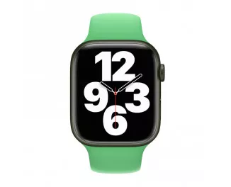 Силиконовый ремешок для Apple Watch 38/40/41mm Apple Sport Band Bright Green (MN2C3)