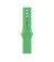 Силиконовый ремешок для Apple Watch 38/40/41mm Apple Sport Band Bright Green (MN2C3)