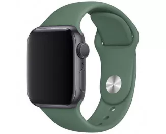 Силиконовый ремешок для Apple Watch 42/44/45 mm Apple Sport Band Pine Green (MWUV2)