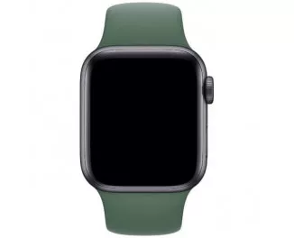 Силіконовий ремінець для Apple Watch 42/44/45 mm Apple Sport Band Pine Green (MWUV2)