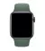 Силиконовый ремешок для Apple Watch 42/44/45 mm Apple Sport Band Pine Green (MWUV2)