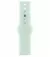 Силиконовый ремешок для Apple Watch 46mm Apple Sport Band Aquamarine - M/L (MDTA4)