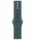 Силиконовый ремешок для Apple Watch 46mm Apple Sport Band Lake Green - M/L (MXLR3)