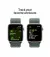 Смарт-часы Apple Watch SE 2 (2024) GPS 40mm Starlight Aluminum Case with Lake Green Sport Loop (MXEH3)