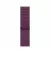 Смарт-часы Apple Watch Series 10 GPS 46mm Rose Gold Aluminum Case with Plum Sport Loop (MWWV3)