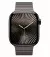 Смарт-часы Apple Watch Series 10 GPS + Cellular 42mm Slate Titanium Case with Slate Link Bracelet (MX0M3+MXMD3)