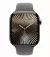 Смарт-часы Apple Watch Series 10 GPS + Cellular 42mm Slate Titanium Case with Stone Gray Sport Band - M/L (MX0M3+MXLH3)