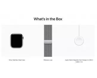 Смарт-часы Apple Watch Series 9 GPS + Cellular 41mm Silver Stainless Steel Case with Silver Milanese Loop (MRJ43)
