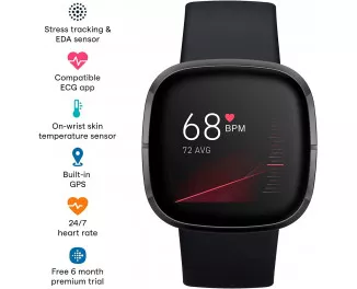 Смарт-годинник Fitbit Sense Carbon/Graphite Stainless Steel (FB512BKBK)