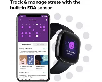 Смарт-годинник Fitbit Sense Carbon/Graphite Stainless Steel (FB512BKBK)
