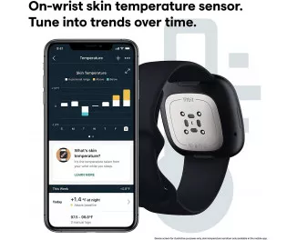 Смарт-годинник Fitbit Sense Carbon/Graphite Stainless Steel (FB512BKBK)