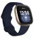 Смарт-часы Fitbit Versa 3 Midnight/Soft Gold Aluminum (FB511GLNV)