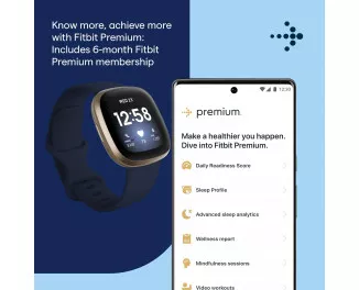 Смарт-часы Fitbit Versa 3 Midnight/Soft Gold Aluminum (FB511GLNV)
