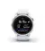 Смарт-часы GARMIN Epix Pro (Gen 2) Standard Edition | 42 mm Silver with Whitestone Band (010-02802-01)