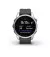 Смарт-годинник GARMIN Fenix 7S Silver with Graphite Band (010-02539-00/01)