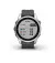 Смарт-годинник GARMIN Fenix 7S Silver with Graphite Band (010-02539-00/01)