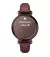 Смарт-часы GARMIN Lily 2 Classic Dark Bronze with Mulberry Leather Band (010-02839-03/61)