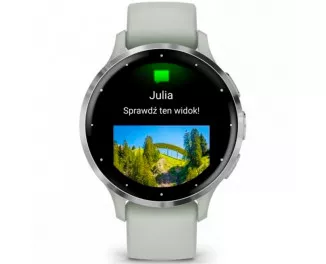 Смарт-часы GARMIN Venu 3S Silver S. Steel Bezel w. Sage Gray Case and S. Band (010-02785-01)