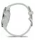 Смарт-часы GARMIN Venu 3S Silver S. Steel Bezel w. Sage Gray Case and S. Band (010-02785-01)