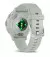 Смарт-часы GARMIN Venu 3S Silver S. Steel Bezel w. Sage Gray Case and S. Band (010-02785-01)
