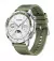 Смарт-годинник Huawei Watch GT 4 46mm Green (55020BGV) UA