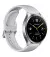 Смарт-часы Xiaomi Watch 2 Sliver Case With Gray TPU Strap (BHR8034GL) Global