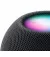 Смарт колонка Apple HomePod mini Midnight (MTJT3)
