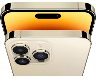 Смартфон Apple iPhone 14 Pro Max 1 Tb eSIM Gold (MQ943)