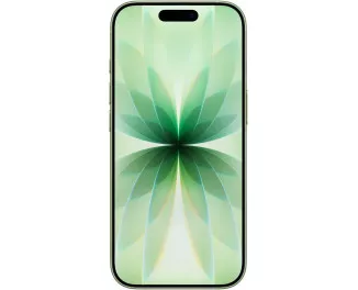 Смартфон Apple iPhone 17 512GB Sage (MG6V4)
