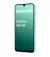Смартфон Samsung Galaxy A16 5G 4/128GB Light Green (SM-A166BLGD)