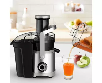 Соковыжималка центробежная Tefal Nutri XXL ZE660D10