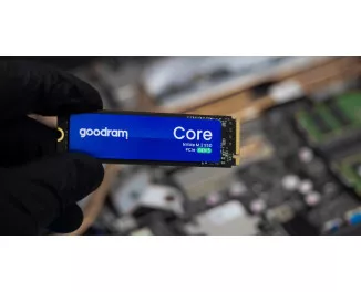 SSD накопитель 1 TB GOODRAM Core (SSDR-GRC01-1K0-80)
