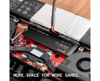 SSD накопитель 1 TB WD Black SN7100 (WDS100T4X0E)