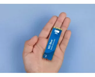 SSD накопитель 1 TB WD Blue SA510 (WDS100T3B0B-00AXS0)