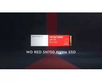 SSD накопитель 1 TB WD SN700 Red (WDS100T1R0C)