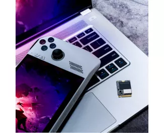 SSD накопичувач 2 TB ADATA GAMMIX S55 (SGAMMIXS55-2T-C)