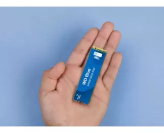 SSD накопитель 500Gb WD Blue SA510 (WDS500G3B0B)