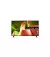 Телевизор LG OLED55B46LA